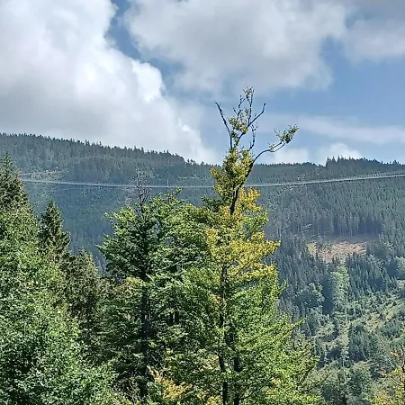 Pod Sjezdovkami